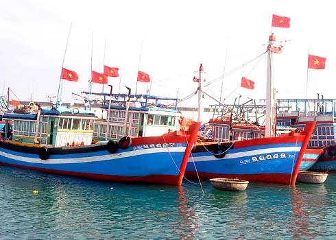 Asosiasi perikanan Vietnam memprotes Tiongkok yang melarang penangkapan ikan di Laut Timur - ảnh 1